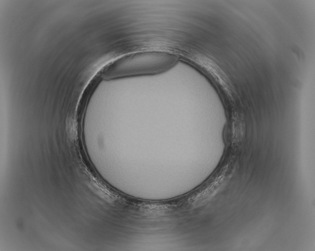 X0000111160924200907281150