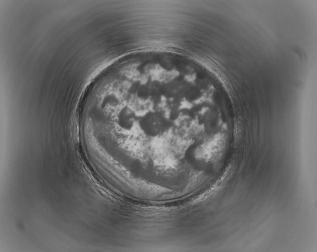 X0000111160925200907281150