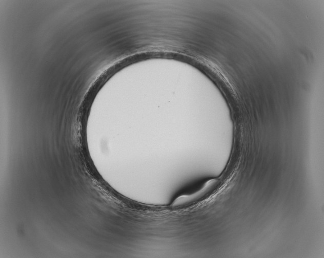 X0000111160926200907281150