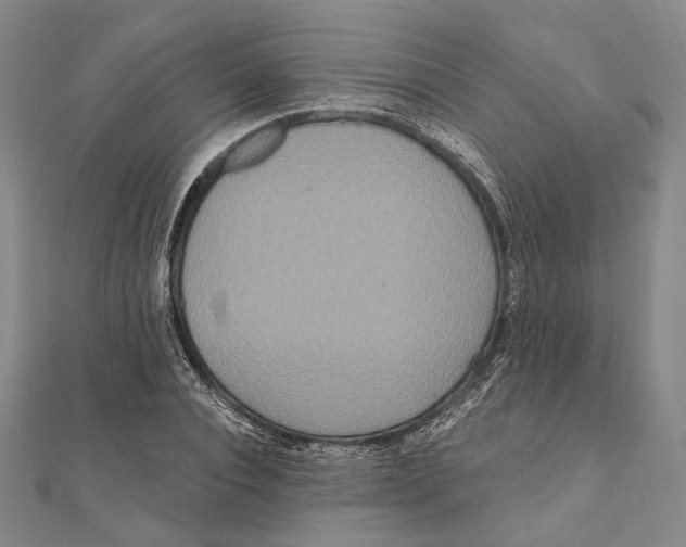 X0000111160928200907281150