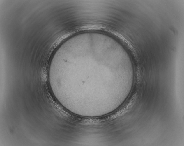 X0000111160929200907281150