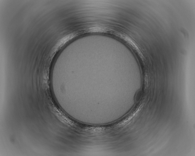 X0000111160930200907281150
