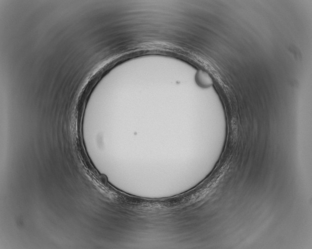 X0000111160931200907281150