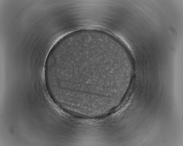 X0000111160932200907281150