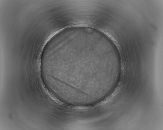 X0000111160933200907281150