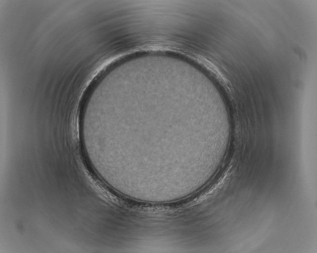 X0000111160934200907281150