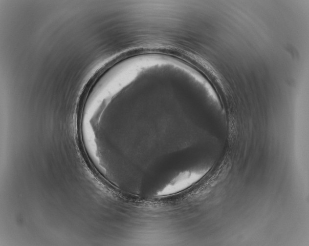 X0000111160935200907281150