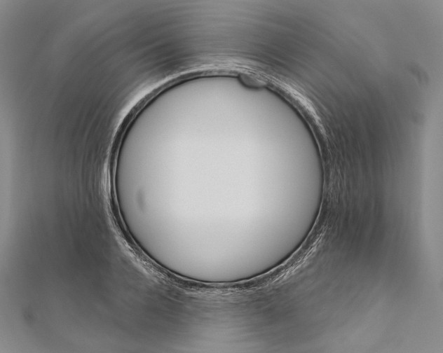 X0000111160936200907281150