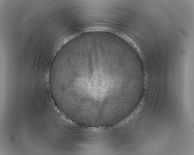 X0000111160937200907281150