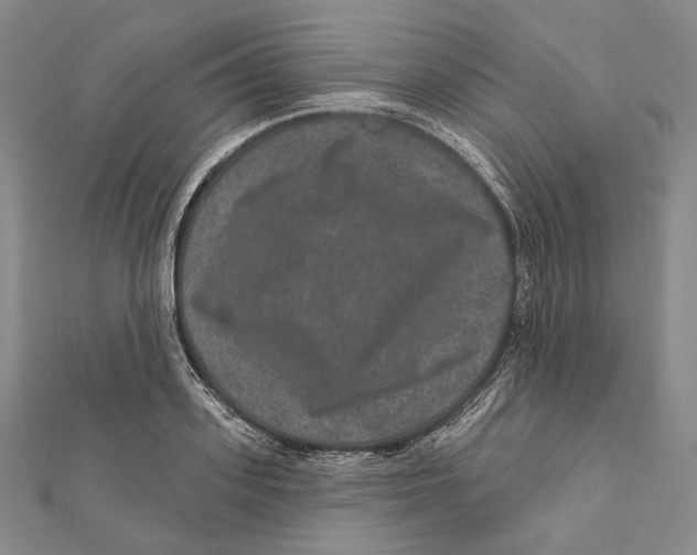 X0000111160939200907281150