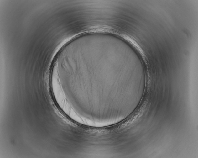 X0000111160941200907281150