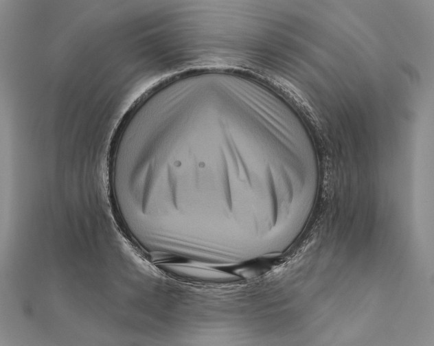 X0000111160942200907281150