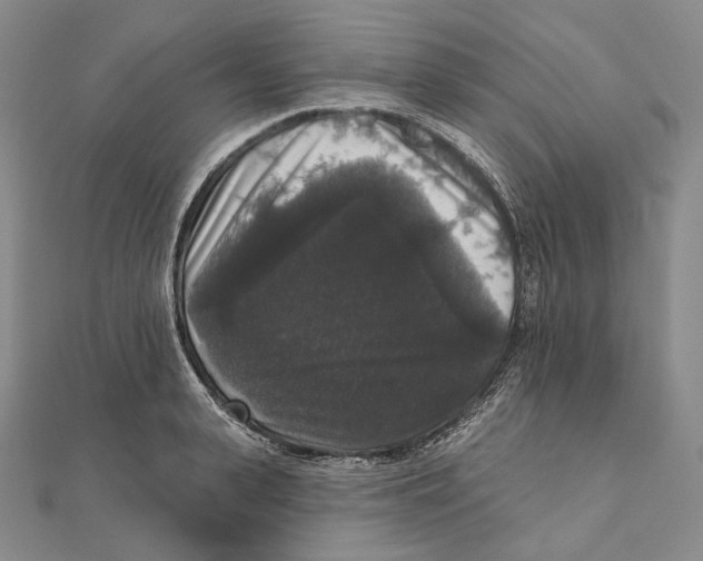 X0000111160943200907281150