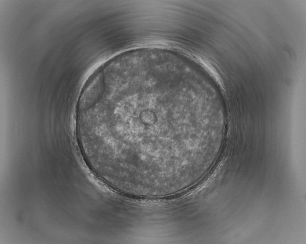 X0000111160944200907281150