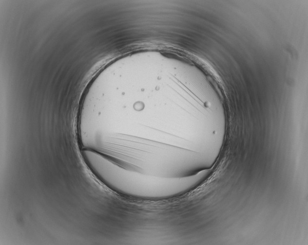 X0000111160946200907281150