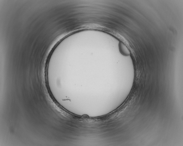 X0000111160947200907281150