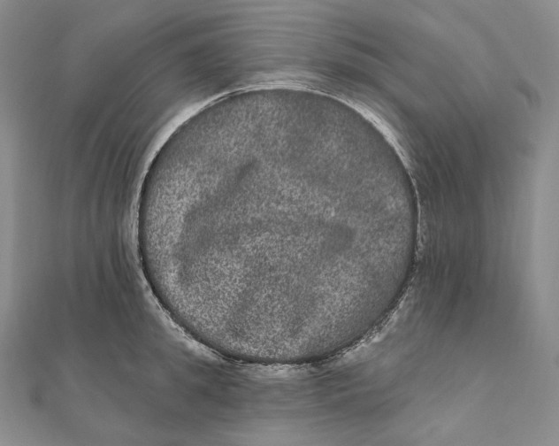 X0000111160949200907281150
