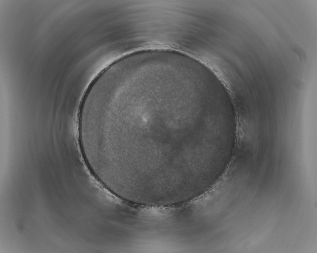 X0000111160950200907281150