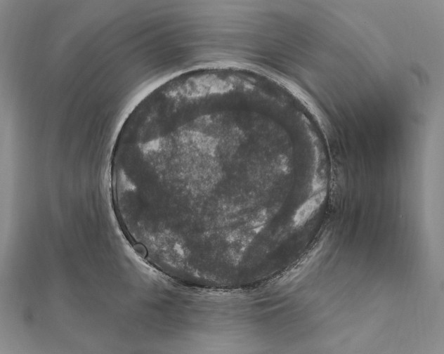 X0000111160951200907281150