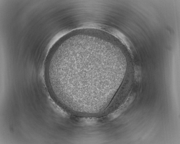 X0000111160952200907281150
