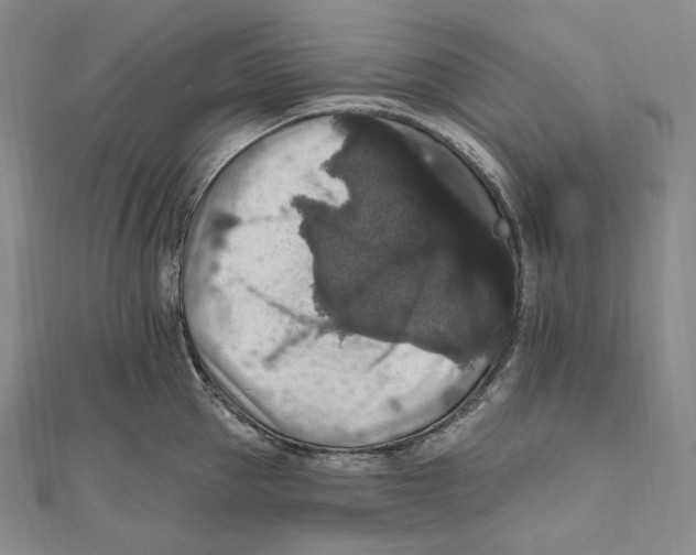X0000111160953200907281150