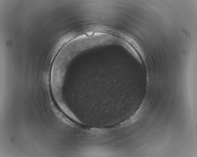 X0000111160954200907281150
