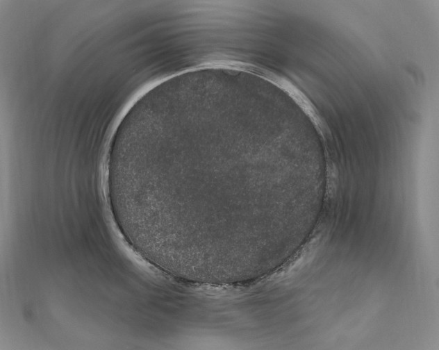 X0000111160955200907281150