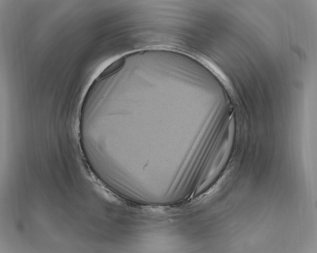X0000111160956200907281150