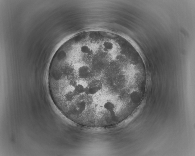 X0000111160957200907281150