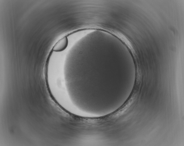 X0000111160958200907281150