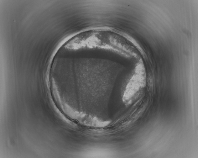 X0000111160959200907281150