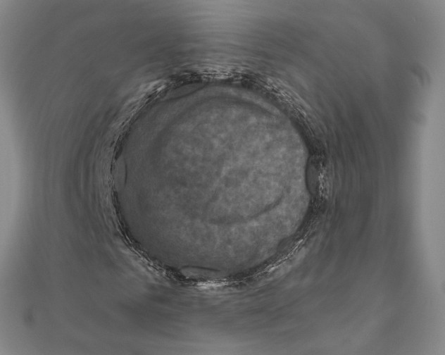 X0000111160961200907281149