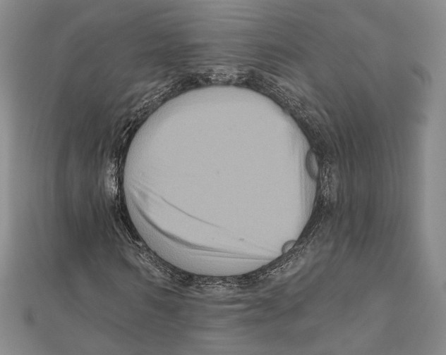 X0000111160962200907281149