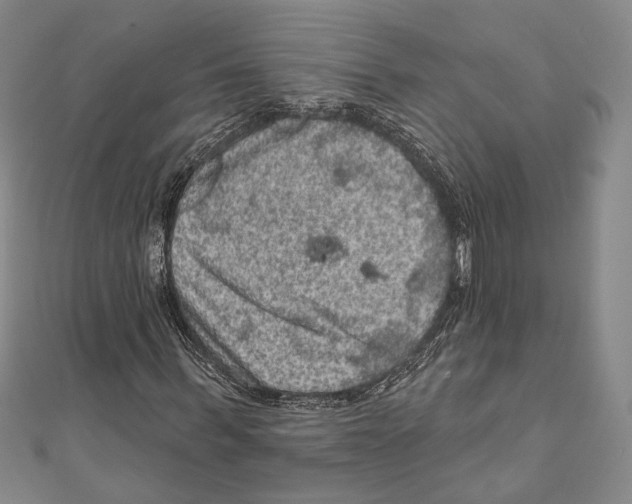 X0000111160963200907281149