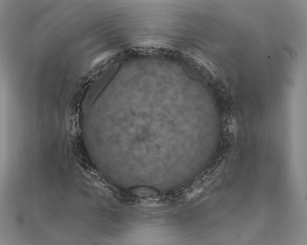 X0000111160965200907281149