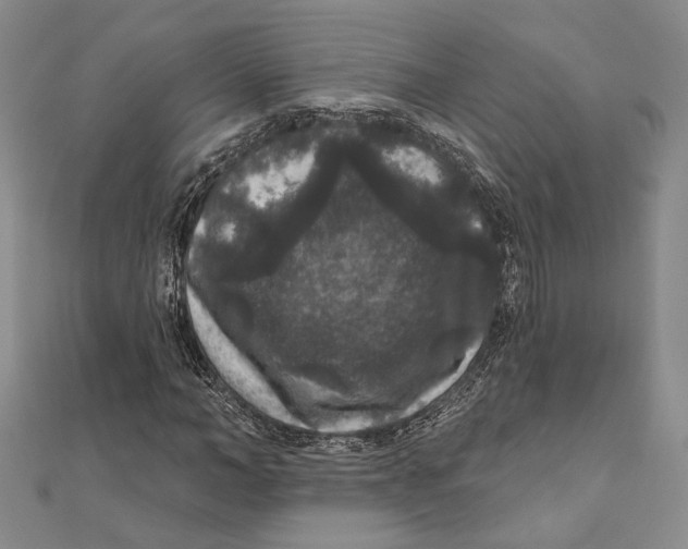 X0000111160966200907281149