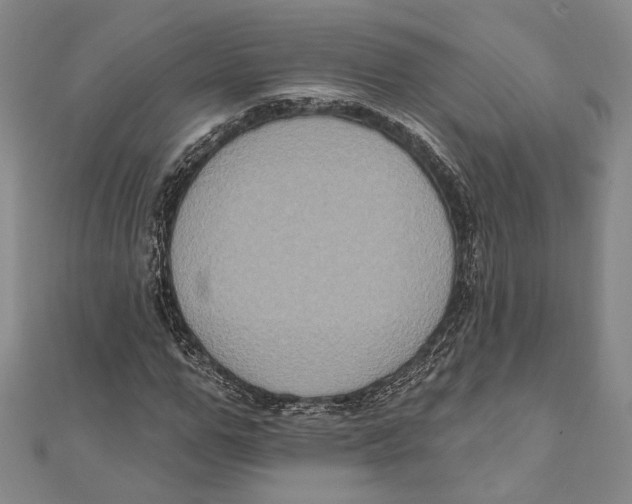 X0000111160967200907281149