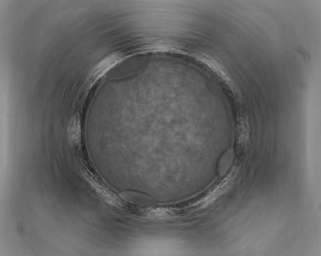 X0000111160969200907281149
