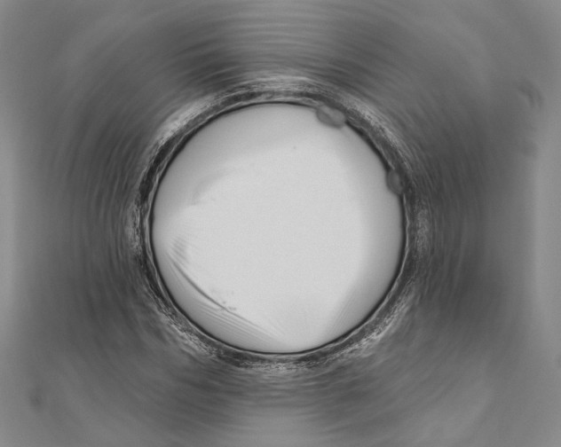 X0000111160970200907281149