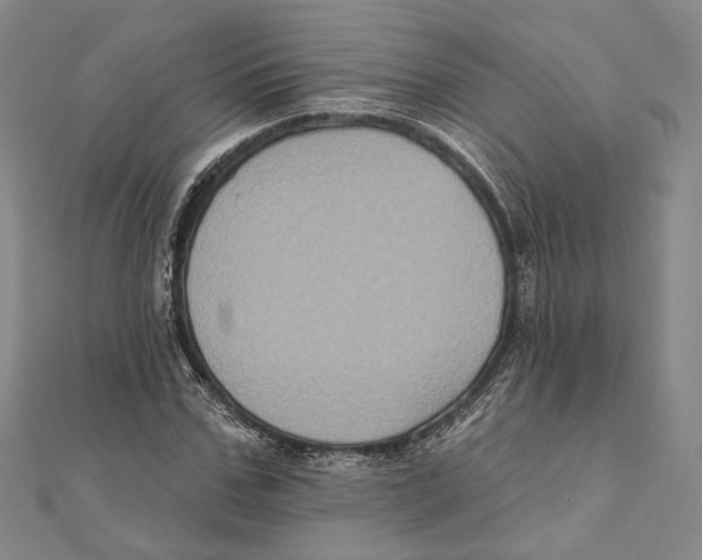 X0000111160971200907281149