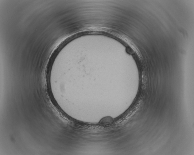 X0000111160972200907281149
