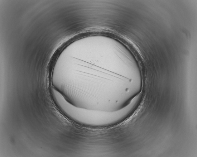 X0000111160973200907281149