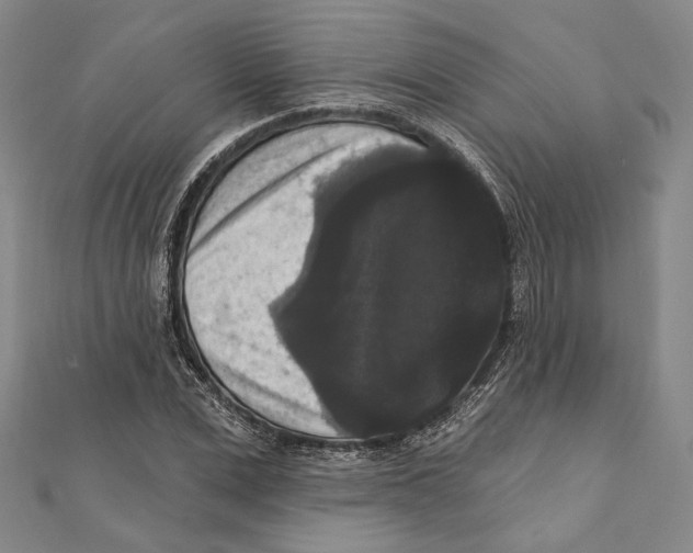 X0000111160975200907281149