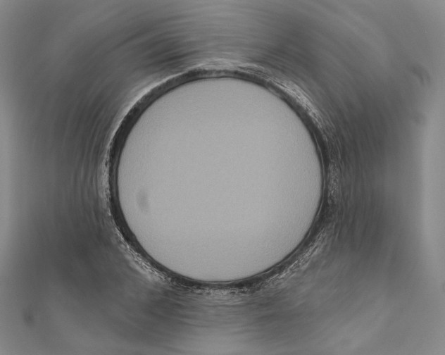X0000111160976200907281149