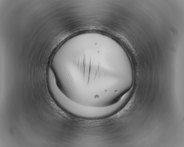 X0000111160977200907281149