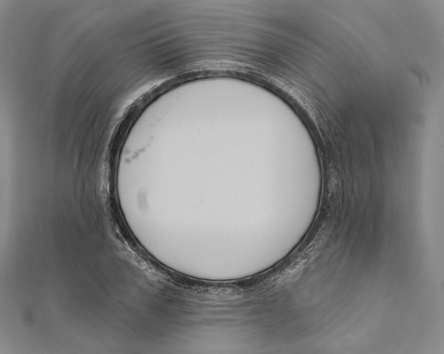 X0000111160979200907281149
