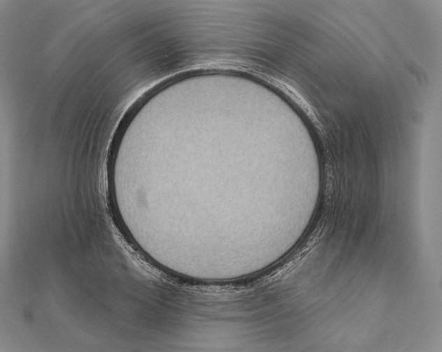 X0000111160980200907281149