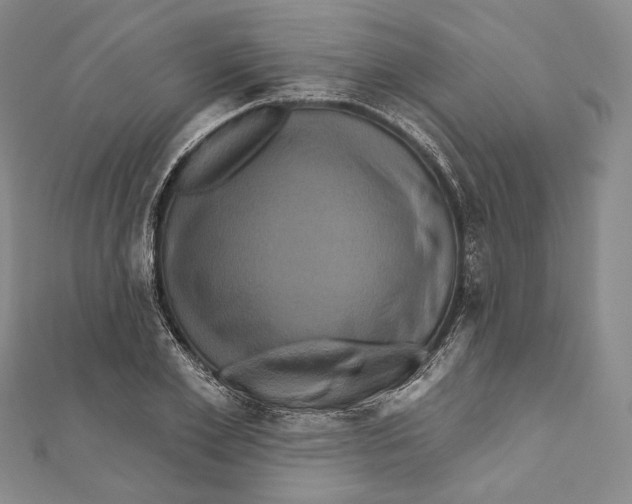 X0000111160981200907281149