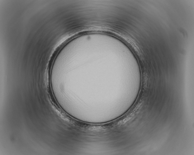 X0000111160982200907281149