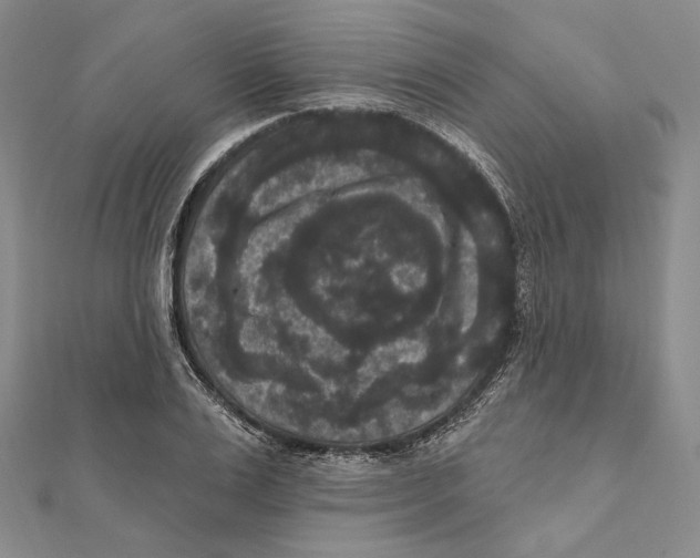 X0000111160983200907281149